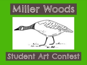Calling all artists!