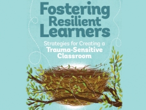 District educators to focus on trauma-informed learning