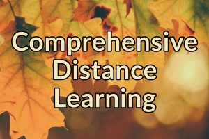 District students to begin 2020-21 in “Comprehensive Distance Learning for All” model