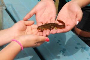 District wins grant for elementary outdoor school