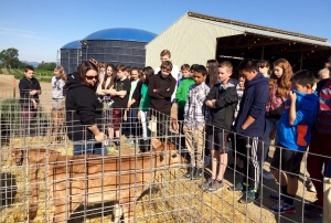 Duniway students visit local dairy farm