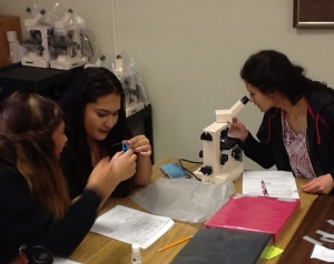 Grants bolster Career Pathway programs