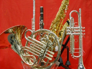Looking for unused musical instruments