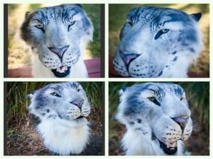 MHS art students win national honors