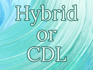 Sign up form for middle/high school hybrid or CDL