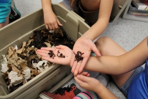 Time to apply for mini-grant funds!