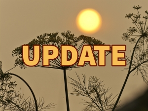 UPDATE on drive-through pick ups