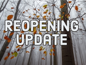 Update on reopening schools