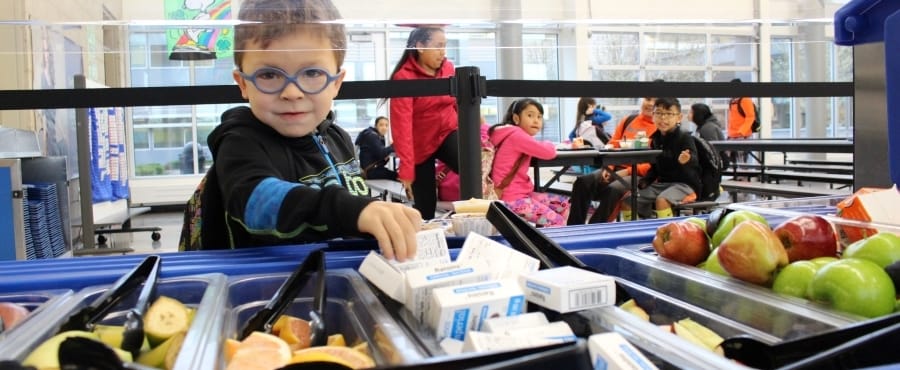 No Cost Meals Fee Waivers McMinnville School District