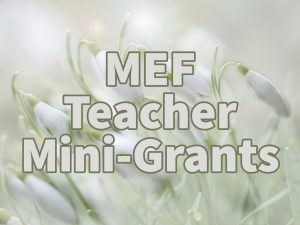MSD Teachers awarded mini-grants