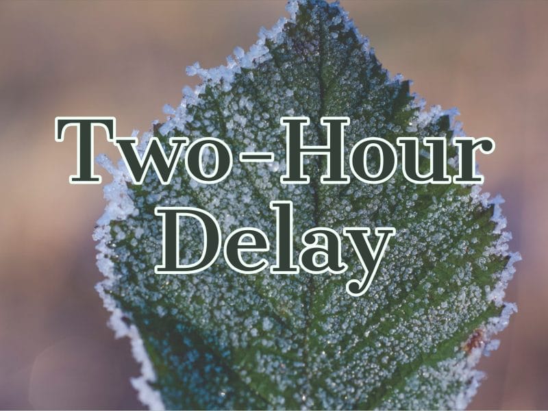 Hour Delay Mcminnville School District