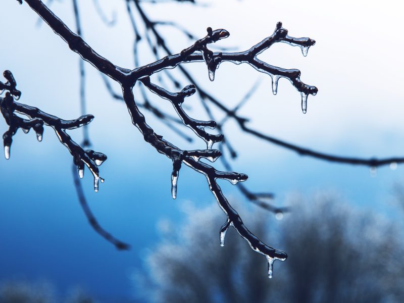 Ice Storm Utc Mcminnville School District