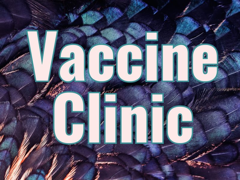 Vaccine Clinic March Mcminnville School District
