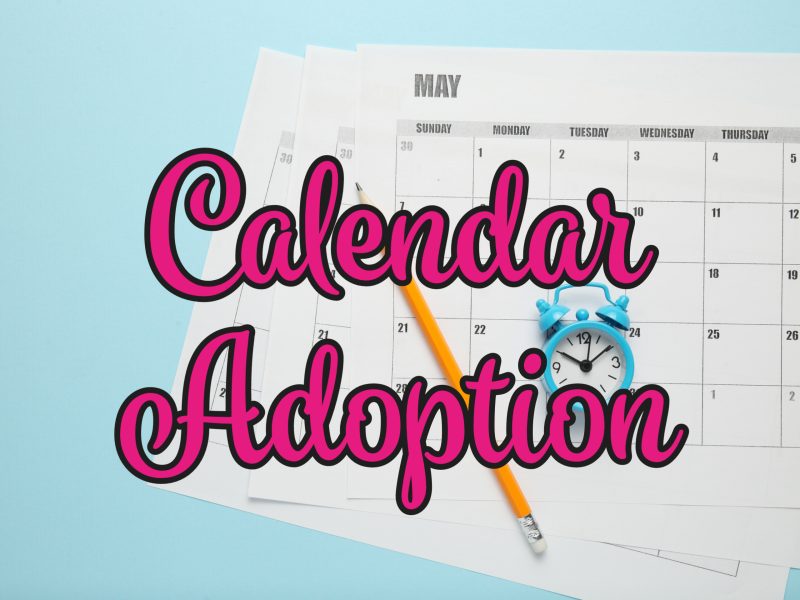 Calendar Adoption Mcminnville School District