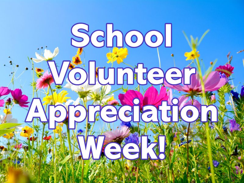 Volunteer Week Web Mcminnville School District