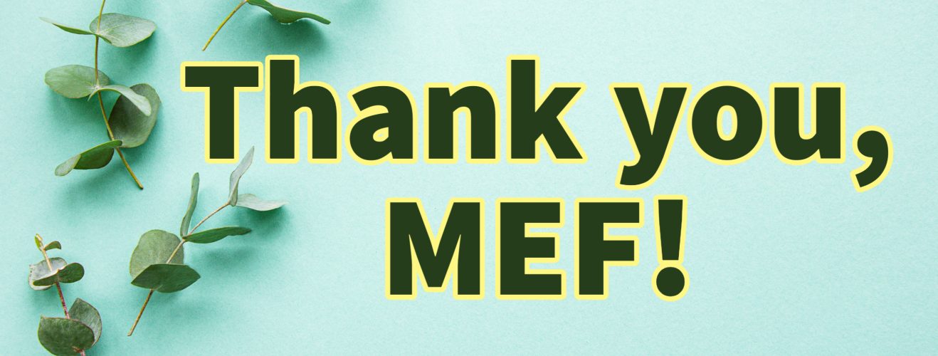 MEF Minigrants Mcminnville School District