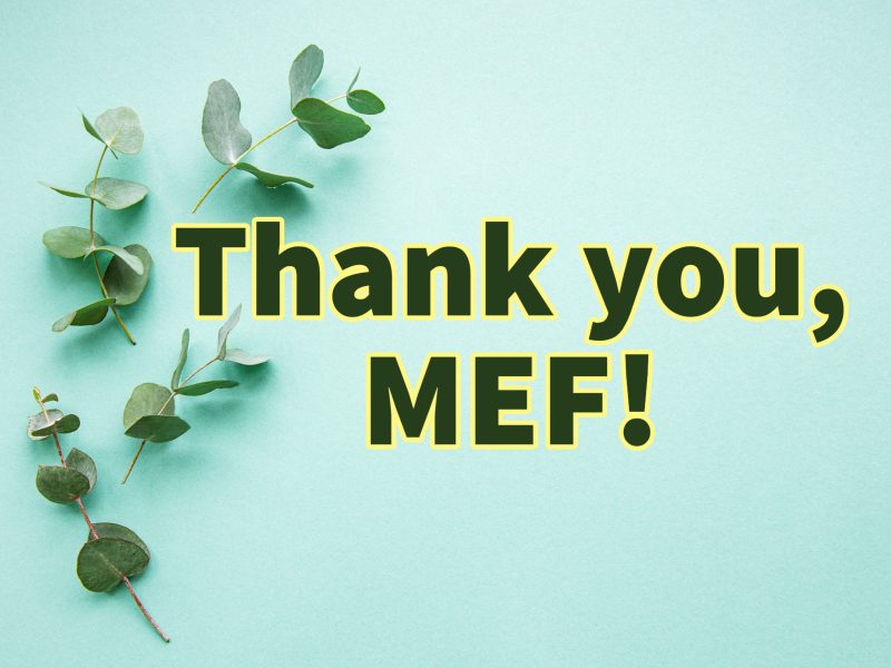 MEF Minigrants Mcminnville School District