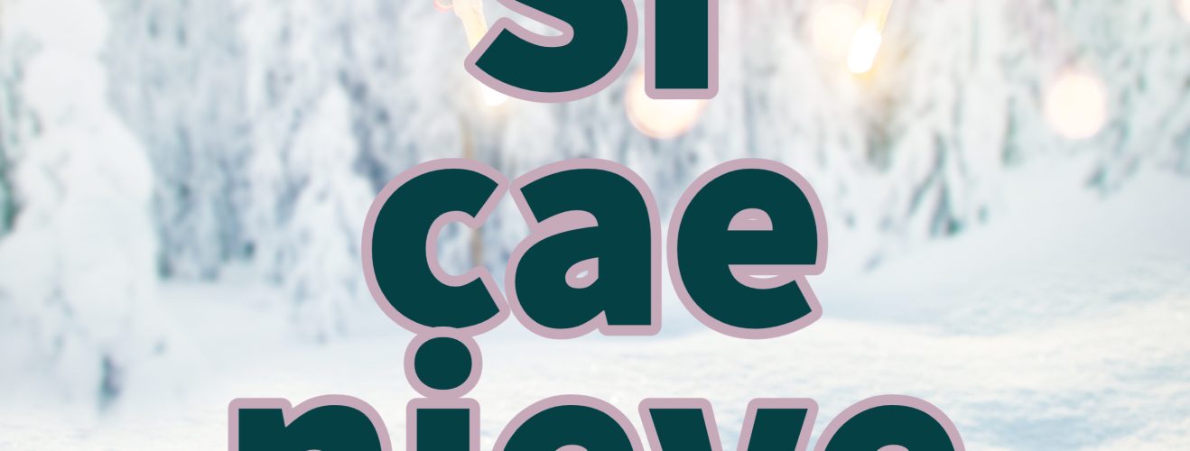 MHS Snow School Day Web SP Mcminnville School District