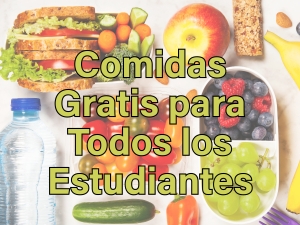 Cambio al Programa de Comidas de MSD