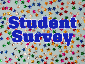 Student Survey on Educational Experiences