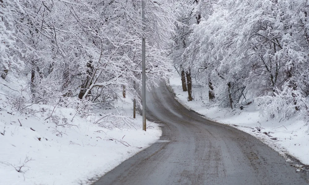 Snowy Driveway Mountain Road In Georgia Trees Covered By Snow Winter Forest After Snowfall