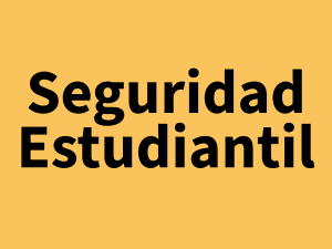 Carta de la Superintendente Ferrua