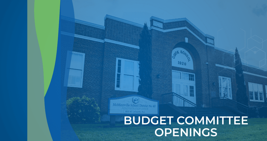 Join the Budget Committee