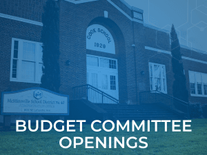 Seeking Budget Committee Members