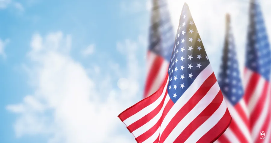 Observing Memorial Day